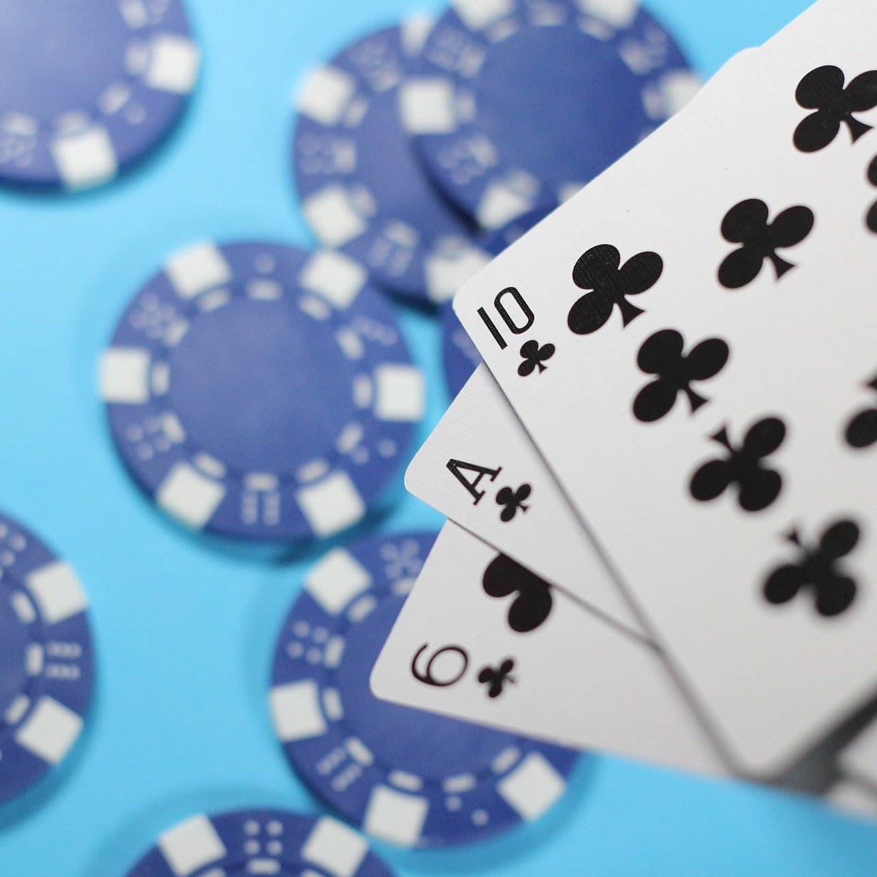 Live Casino shw88